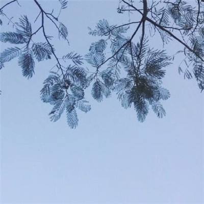 果盘猎心师手游下载